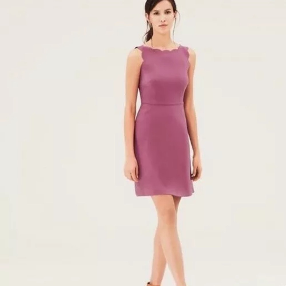 LOFT Pink Scalloped Sheath Career Dress. Size 0